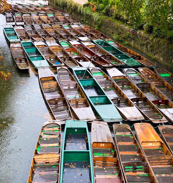 Punts at rest.
