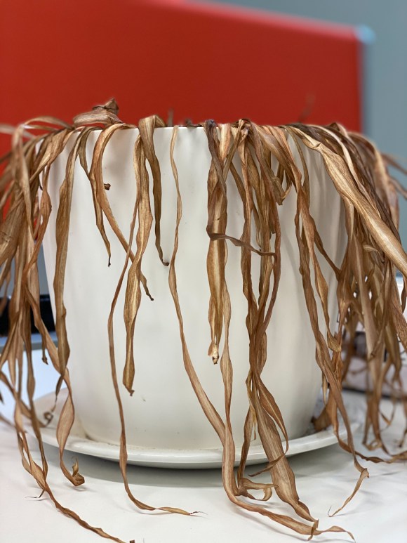 Dead office plant