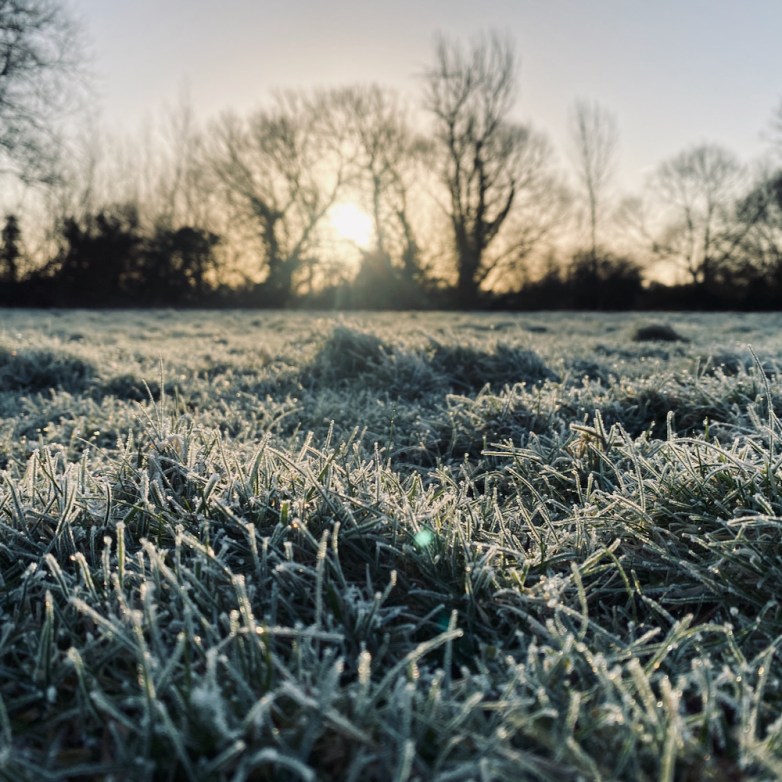 Cutteslowe Park