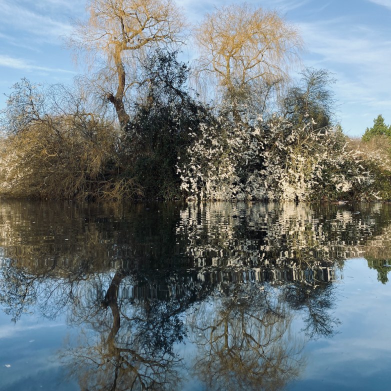 Cutteslowe Park